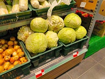 Скрытая угроза въехала в Калининградскую область в капусте из Сербии