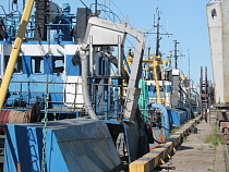 Калининграду определили квоты на вылов промысловых рыб