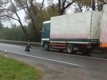 Появилось видео с пешеходом, который ползал на четвереньках по проезжей части (видео)