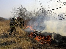 В Калининградской области начались массовые пожары на полях