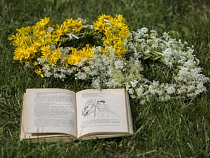 В Калининграде появился «Литературный дворик»