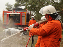 Условный пожар на Куршской косе тушили 30 человек 