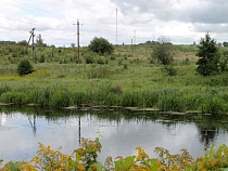 В Озёрском районе нашли отмирающую землю