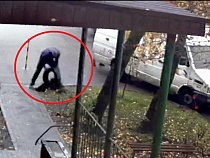 В Прибрежном опустились до воровства старых покрышек с клумб