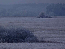 Владелице свалки на 1,3 га сельхозугодий присудили штраф в 20 тысяч рублей
