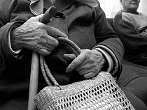 Калининградец со своей собакой помог задержать уличного вора