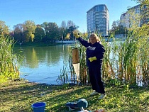 В Калининграде назвали два смертельных для птицы с рыбой озера