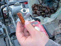 Янтарь теперь копают буквально в пригороде Калининграда