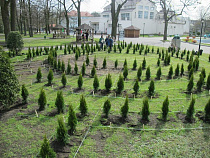 В Калининградском зоопарке посадили лабиринт