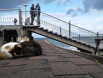 Как изменится погода в Янтарном и Зеленоградске на выходных