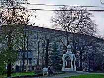 Мэрия получила 287 проектов компенсационного озеленения Калининграда