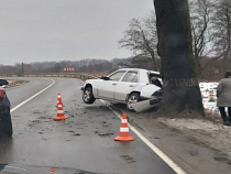 На «тёщином языке» под Балтийском «Мерседес» влетел в дерево