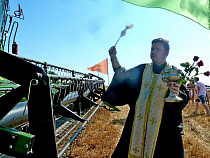 Калининградская область не вошла в озимый сев