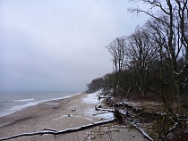 Куршская коса выдержала на январских выходных более 17 тысяч туристов