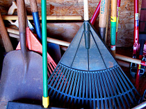 Вождь на броневике раздаст грабли участникам субботника в Центральном парке