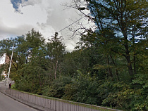 Власти Калининграда решили забронировать лесопарки