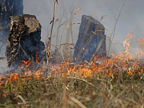 Пожар полыхнул около сафари-парка под Калининградом