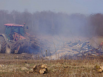 В Облдуме назвали преимущества неиспользуемых сельскохозяйственных угодий