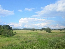 Немцы больше года применяли химию на полях Калининградской области