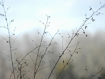 Прибытие и вылет самолетов в «Храброво» задерживается из-за тумана