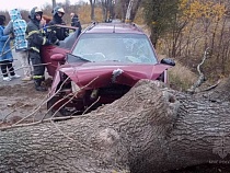 В Калининградской области из-за шторма погиб человек