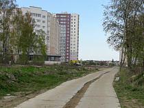 В Калининграде власти благословили вырубку рощи из 900 деревьев (карта)