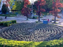 Это место в Калининграде соблазняет туристов миниатюрным Провансом