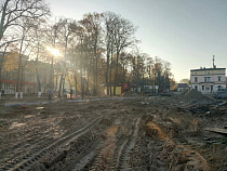 В Зеленоградске сообщили о гибели деревьев у вокзала (фото)