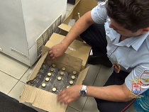 В магазине на Борзова в Калининграде изъяли 600 литров алкоголя