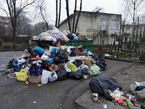 Антон Алиханов планирует установить раздельный сбор отходов в Калининградской области к концу июля 2017 года