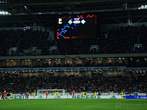 Калининградец не попал на матч Россия – Швеция из-за мата во время ЧМ-2018