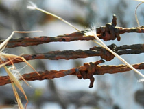 Виновнику ДТП, в котором погибли два человека, грозит 3 года 8 месяцев тюрьмы