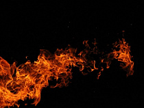 В Калининграде на пожаре в СНТ отравился человек