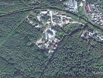 Правительство области знает о незаконной вырубке леса под Светлогорском