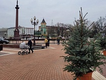 В Калининграде назвали места высадки «Толстых Аликов»