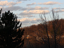 В Калининградской области создали особо охраняемую природную территорию площадь 193 тыс. кв.м