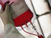 Калининградцы собирают кровь для больниц