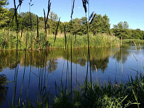 Снова +30º С: на выходных в Калининградскую область вернётся жара