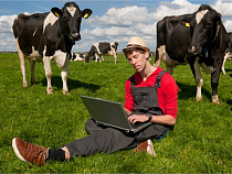 В Калининградской области на поддержку малых форм хозяйствования выделят 56 миллионов рублей