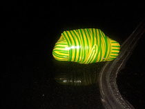 Под Калининградом сотрудники УФСИН предотвратили переброску наркотиков на территорию колонии