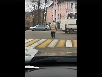 На Невского в Калининграде «бессмертный» мужчина шёл на поток машин (видео)