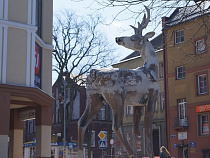 Черняховского предпринимателя через суд обяжут устранить нарушения санитарных правил