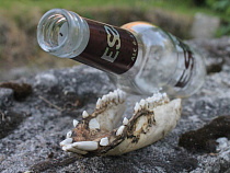 Полиция: продавцам из Светлогорска грозит штраф до 500 000 рублей