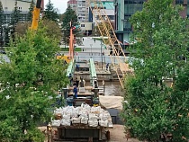 Начался монтаж пешеходного моста над Преголей в Калининграде (видео)