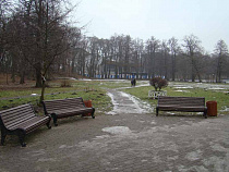 Землю в парке Зеленоградска купил хозяин строительных фирм