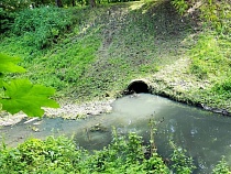 В ручей Товарный в Калининграде не гадит только ленивый