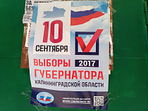 Ярошук разрешил проводить агитацию на выборах губернатора в 13 школах