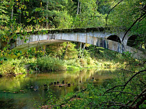 Браконьерскую вышку, обнаруженную в Виштынецком парке, сожгли