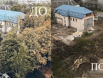 На Аллее Смелых срубили 46 деревьев для постройки магазина