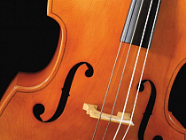 Калининградская областная филармония купила "Laubach"